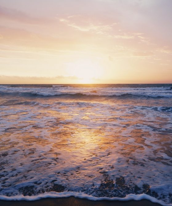 Comment créer un look de plage tendance cet été ? par Danielle Engel mode-eco-responsable - Comment créer un look de plage tendance cet été ?